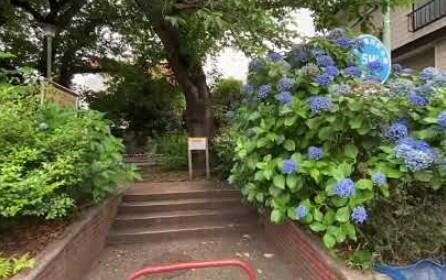 南田柄緑地まで585m