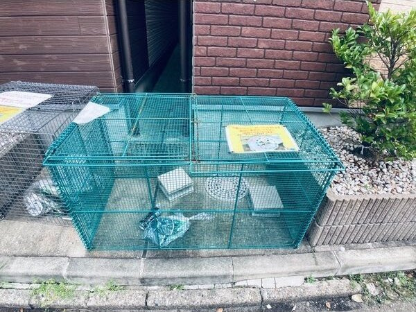 ネスト大曽根