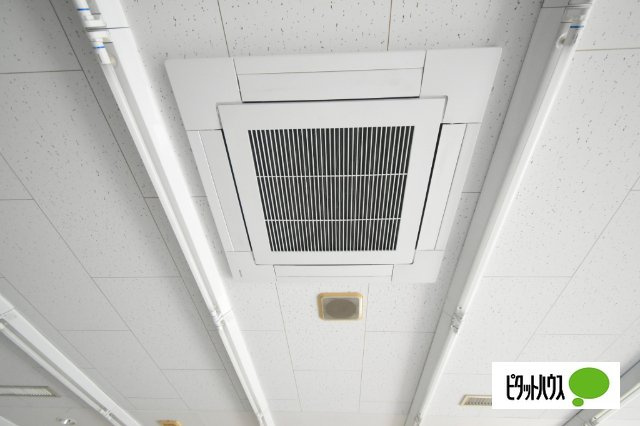 高崎市井出町貸店舗の内装