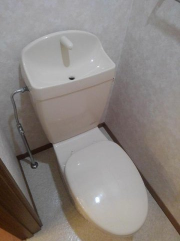 ブルースカイのトイレ