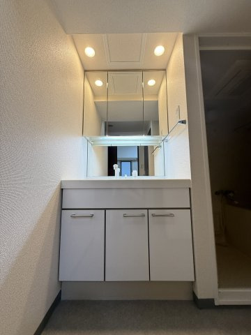 大阪市中央区高津３丁目の賃貸マンションの洗面所