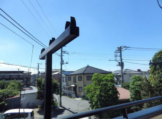 コーポネイティスの展望