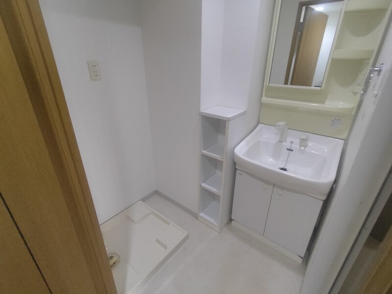 エイペックス松屋町ヴァンデュールの洗面所