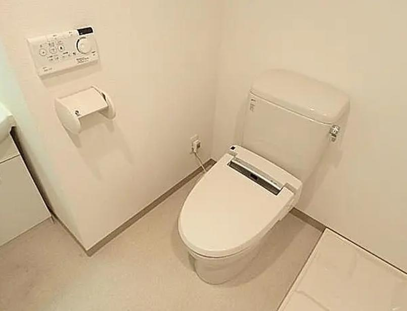 川口市並木３丁目の賃貸マンションのトイレ|トイレ