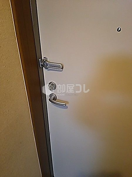 アーバンプレイス東新宿ⅡAの玄関