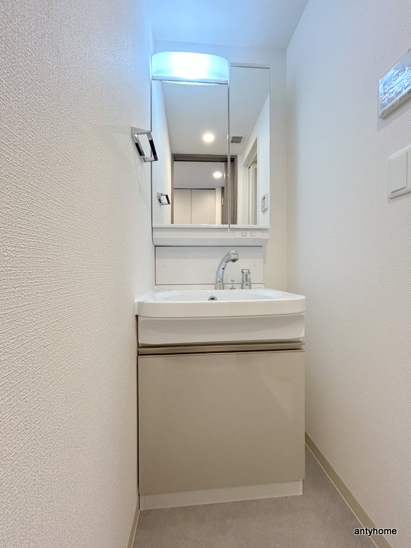 エステムコート難波WEST-SIDE9レデント　仲介手数料無料の洗面所