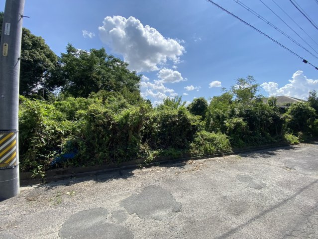 【前面道路含む現地写真】の画像