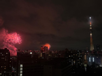 ザ・ライオンズ両国の画像