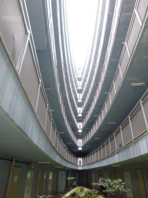 エストレージャ湘南のその他