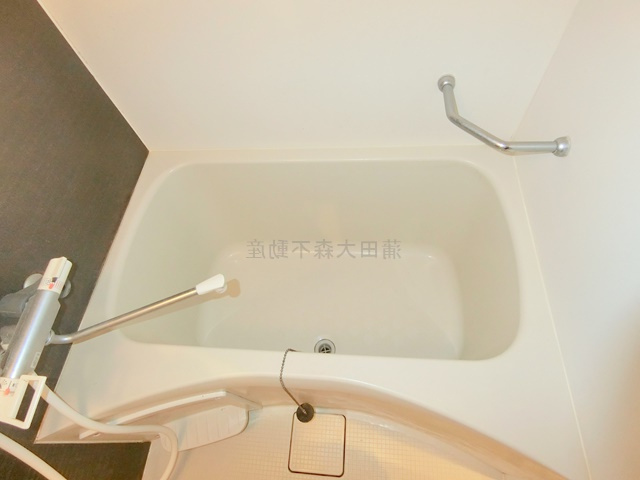 ウェルスクエア蒲田EASTの浴室
