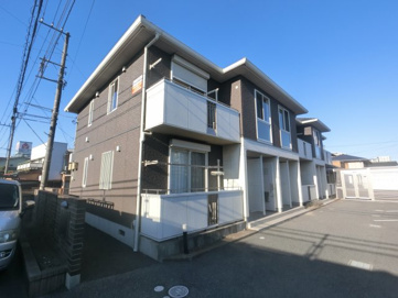サンシャルマンの画像