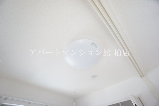 アニマーレAの設備|照明