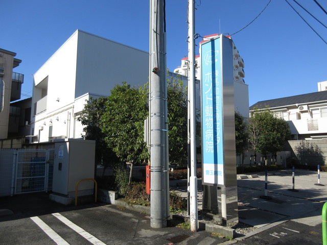 ララ新江古田のその他|ホンド動物病院