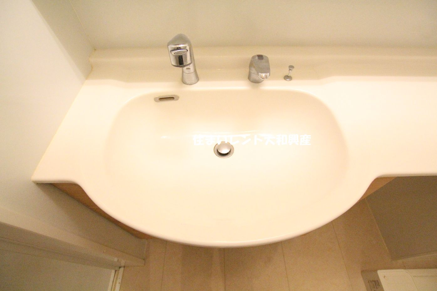 ヴィクトワール弐番館の独立洗面台