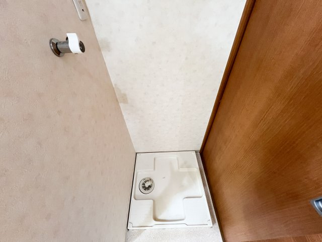 ザジテールの洗面所