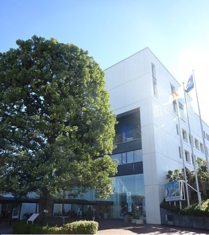 ブランドールの周辺|市役所まで450m