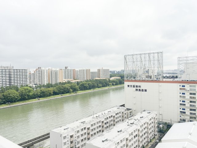 ■目の前に高い建物がなく180度開けているイメージです。左手には壮大な運河が望め、運河沿いの緑道公園は春は桜など四季に溢れている眺望が楽しめます。