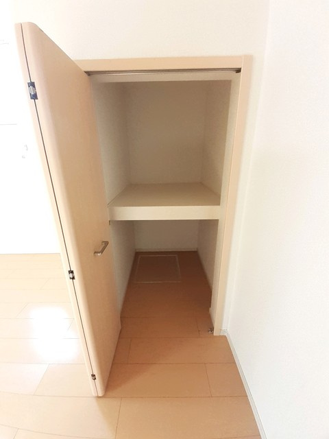 ラフレシールⅢのその他