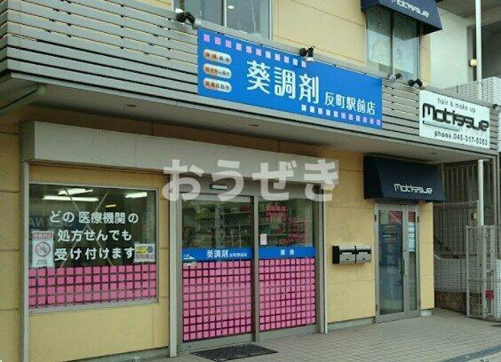 橋本ビルの周辺|反町調剤薬局まで1,155m