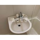 パラッツォみなとみらいの洗面所