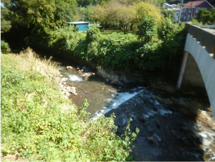 伊勢原市日向　中古戸建　101.29坪　の内装|ホタルも生息する環境です♪