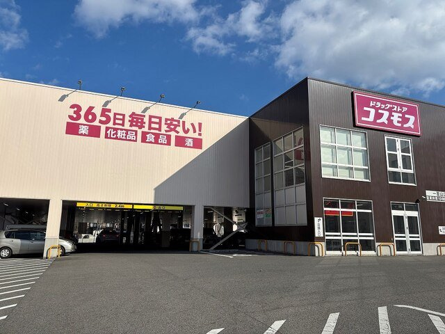 グランドチルドレンの周辺|コスモス　一里山店まで1000m