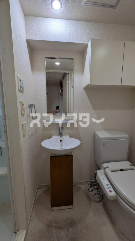 大和市中央５丁目の賃貸マンションの独立洗面台