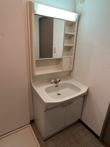 ヴェルジュ三家向の洗面所