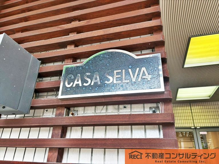 カサセルバのその他