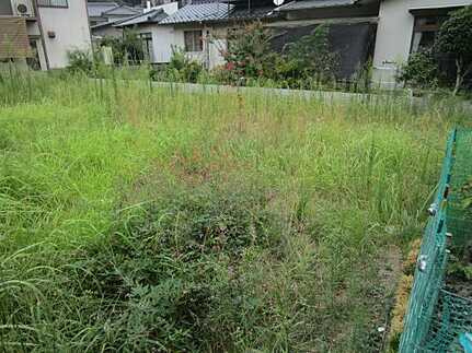 安佐南区緑井７丁目のその他