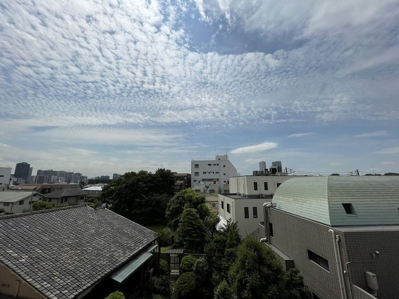 マンション清水台の展望