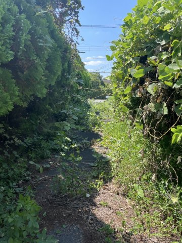 【前面道路含む現地写真】 | 茂原市千沢　土地