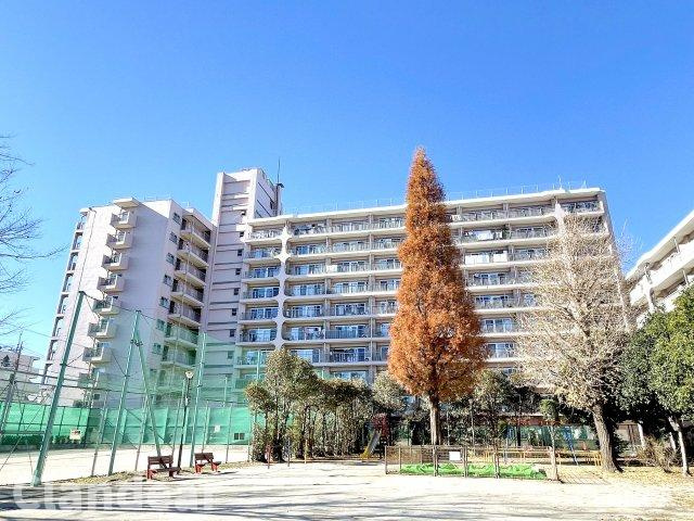日商岩井綾瀬マンションの外観|ドキドキの新生活も、安心してスタート。ぴったりの住まいを見つけませんか？クランディアが一緒に住まい選びをサポートします‼　まずは、お気軽にお問合せください　＃クランディア