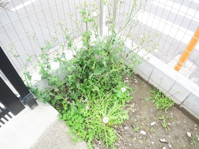 志茂3丁目貸家のその他|緑が多くて気持ちいいです♪