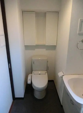 北区赤羽１丁目の賃貸マンションのトイレ|別号室参考写真