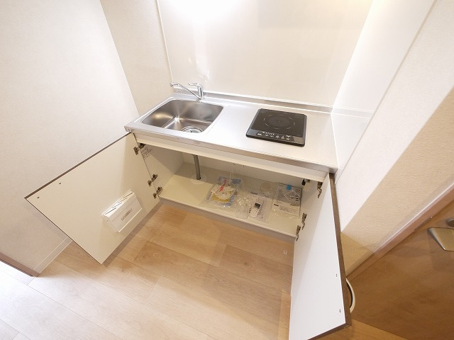ロイヤルSK指柳　二番館のキッチン