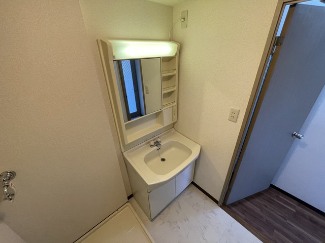 ヴェルジュ三家向の洗面所