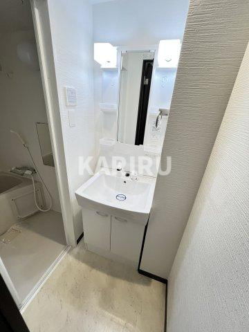 グランパシフィック毛馬の洗面所