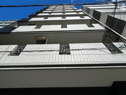 グリフィン横浜・ピュアの画像