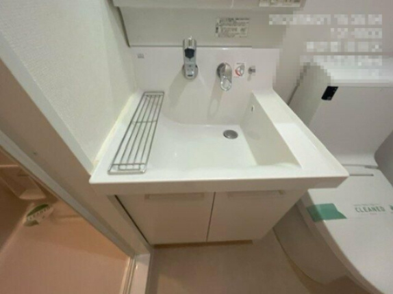 墨田区向島３丁目の賃貸マンションの洗面所