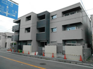 Abeliaの画像