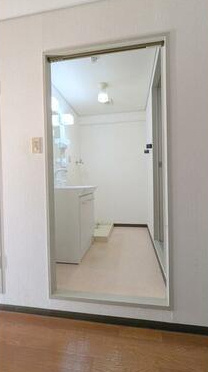 アメニティライフ荻野の洗面所