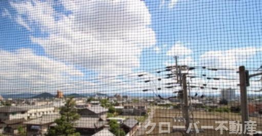 サウスフォレストの展望|眺望