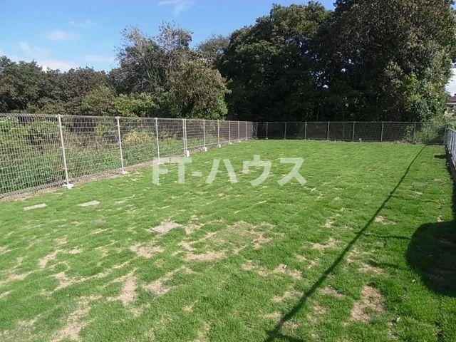 T's garden新検見川Ⅰ(サンライズヒル朝日ヶ丘A)の庭