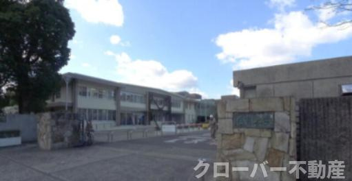 ストーリァ中央町の周辺|大学・短大