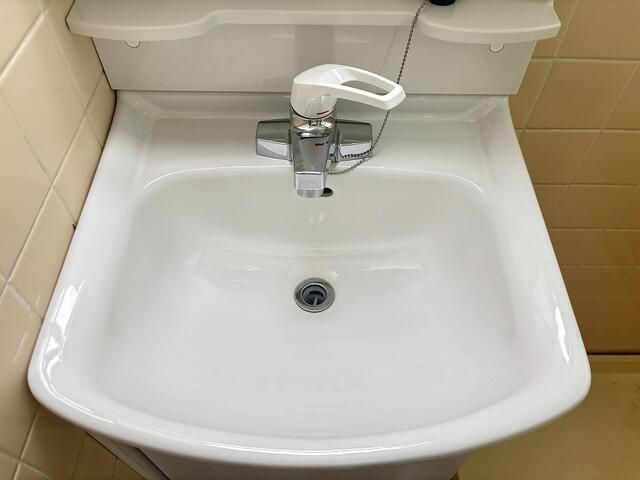 ハイツチェリーの洗面所