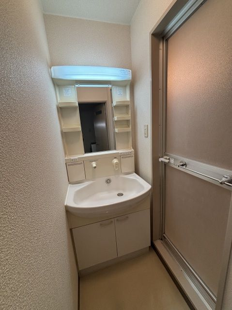 翠水コートの洗面所