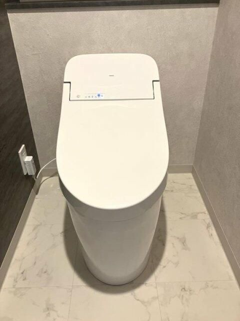 パレステージ新高島平のトイレ