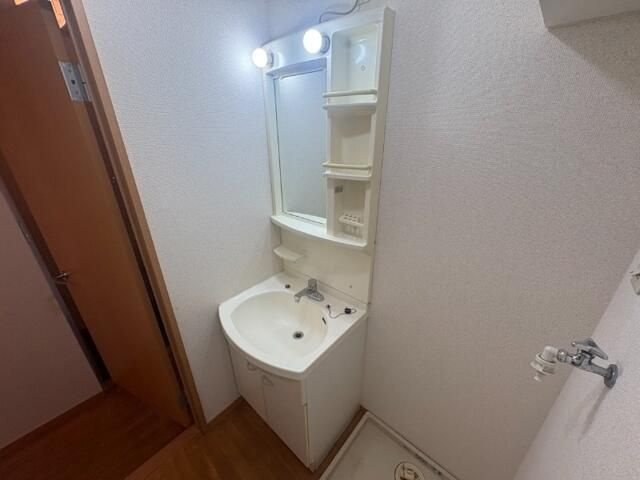 エスポワールＢ棟の洗面所