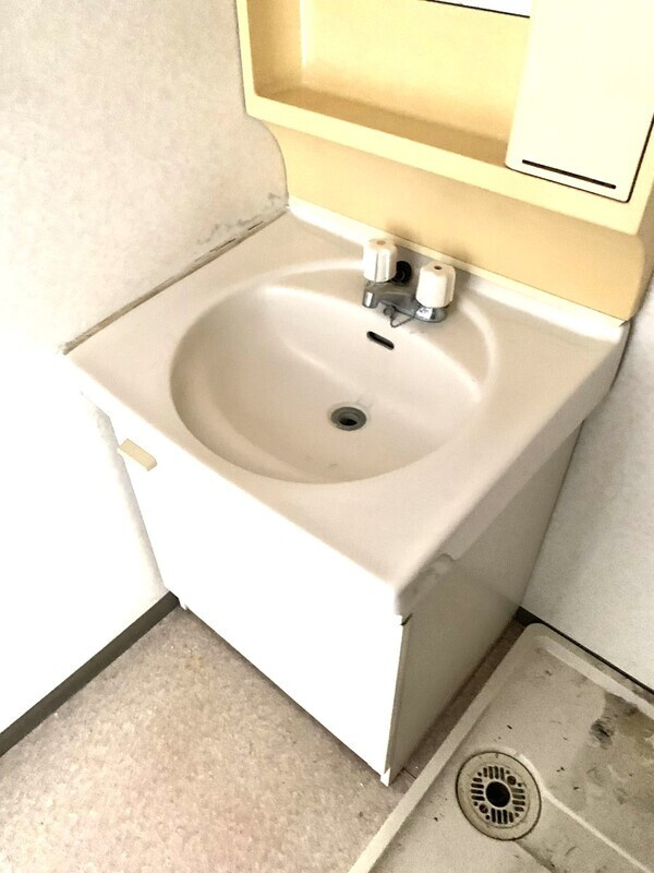 スカイハイムの洗面所